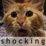 icon shocking6 Belasting gooit privégegevens op straat   FOK!